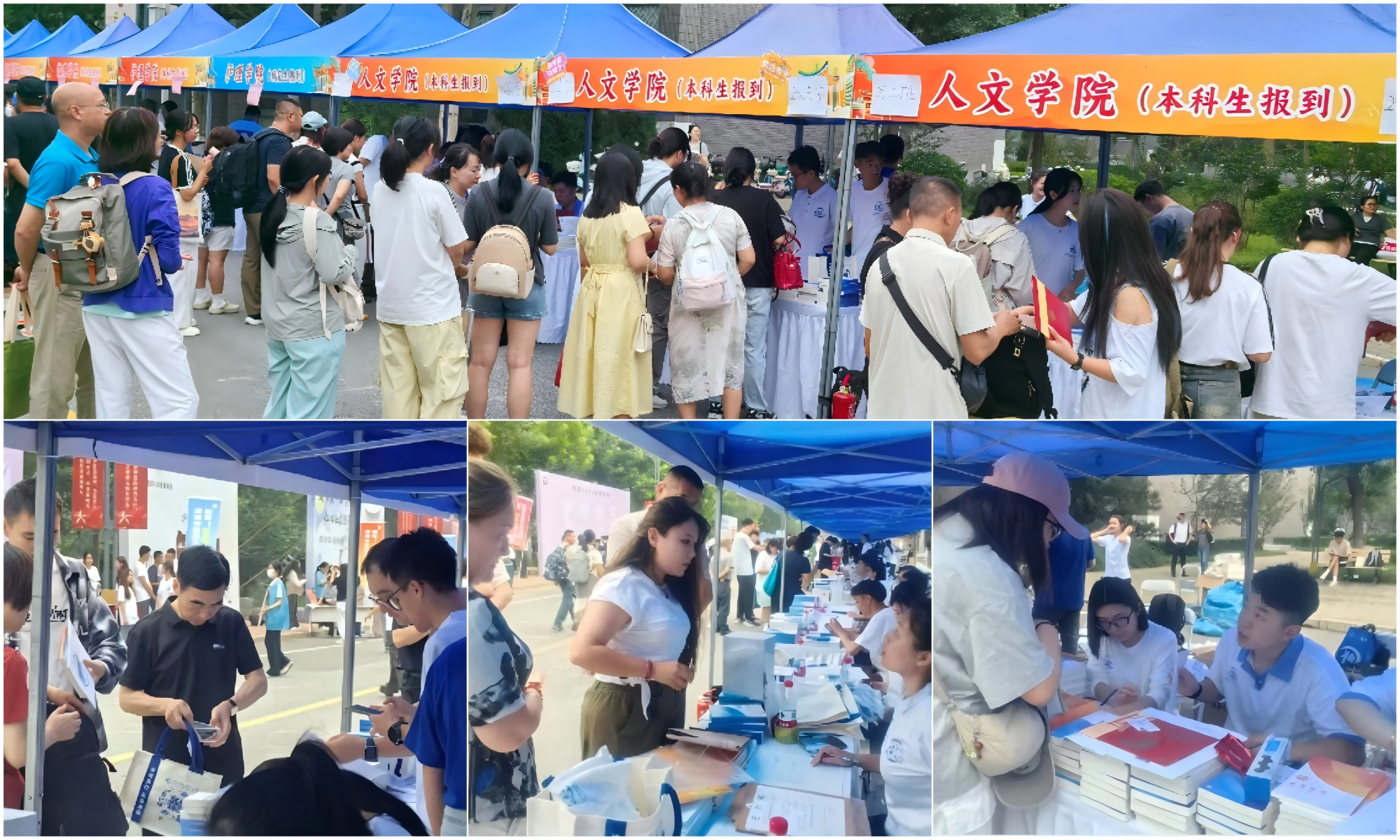 WPS拼图0(1).png